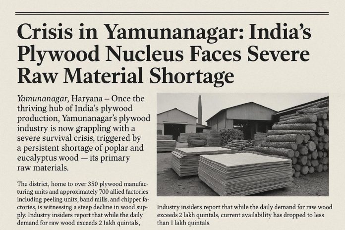 News article highlighting plywood industry crisis in Yamunanagar due to wood shortage